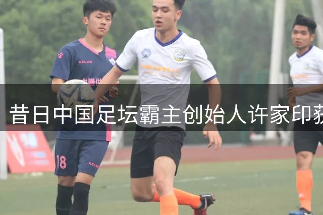 昔日中国足坛霸主创始人许家印获重刑